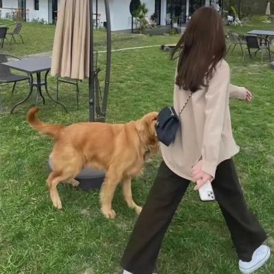 宝石迷踪